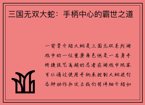 三国无双大蛇：手柄中心的霸世之道
