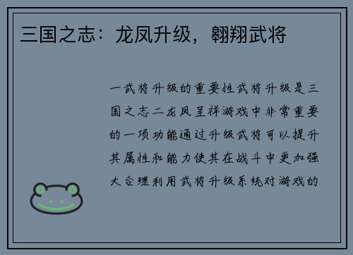 三国之志：龙凤升级，翱翔武将
